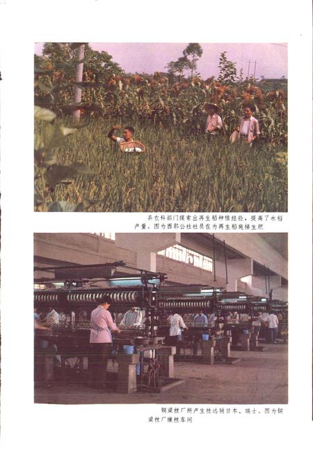 《四川省铜梁县地名录》.pdf电子版_重庆市志插图2