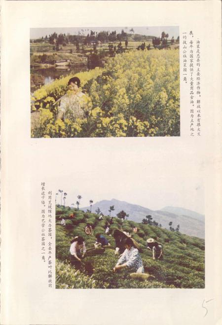 《四川省忠县地名录》.pdf电子版_重庆市志插图5
