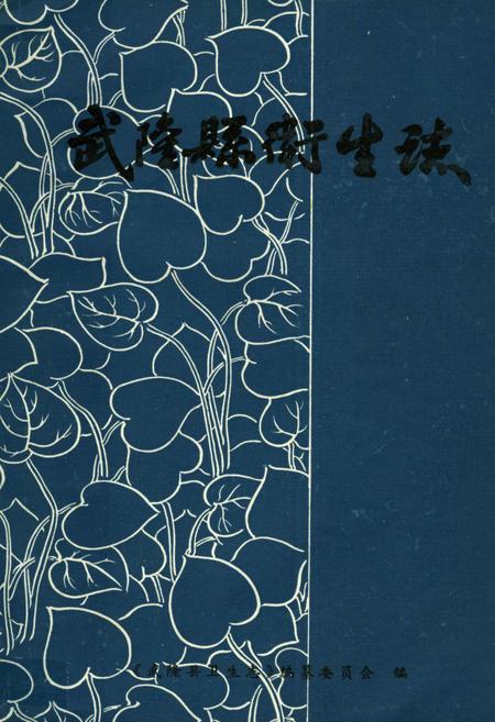 《武隆县卫生志》.pdf电子版_重庆市志插图