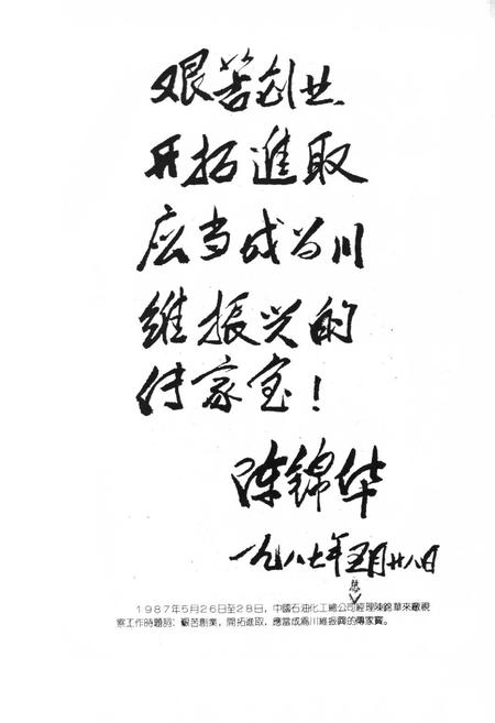 《川维厂志》.pdf电子版_重庆市志插图5