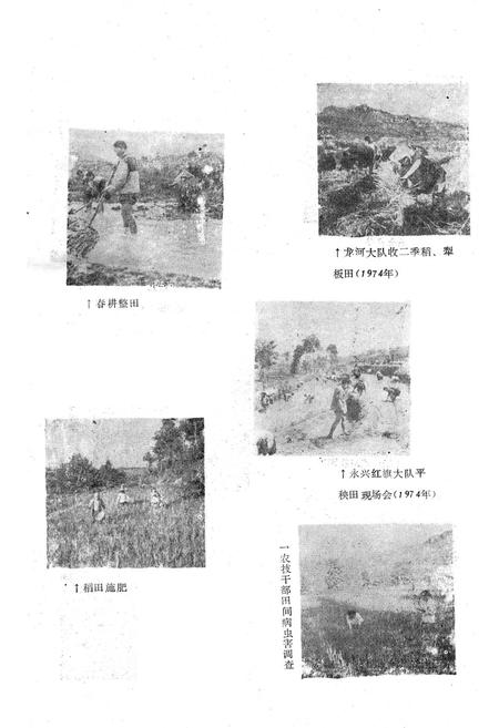 《农业局志》.pdf电子版_重庆市志插图3