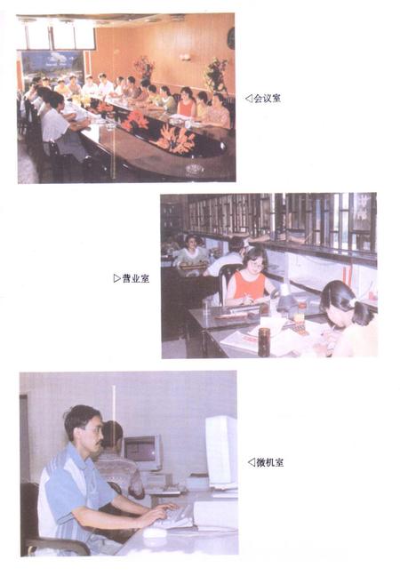 《中国人民银行彭水苗族土家族自治县支行志》.pdf电子版_重庆市志插图3