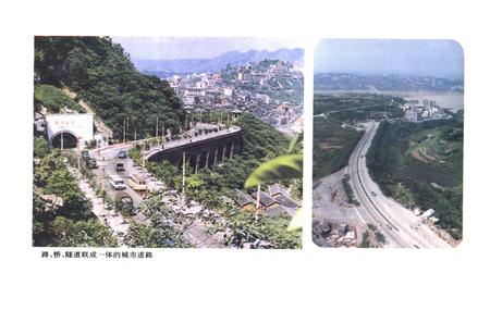 《重庆市市政环卫建设志》.pdf电子版_重庆市志插图5