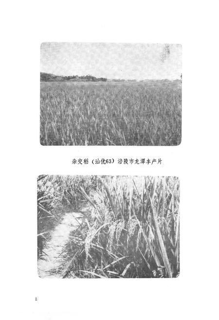 《涪陵地区农业局志》.pdf电子版_重庆市志插图3