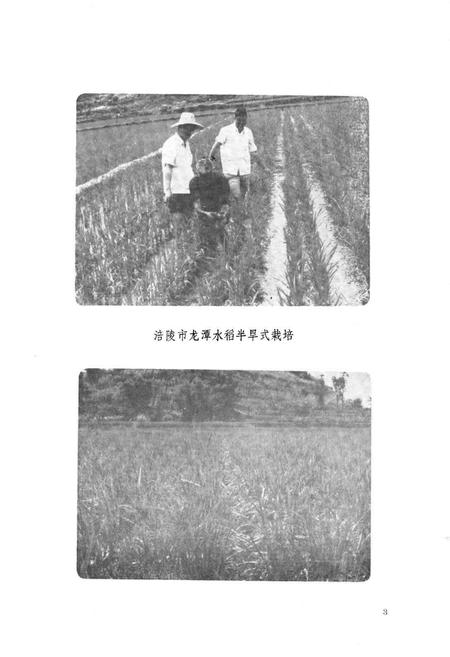 《涪陵地区农业局志》.pdf电子版_重庆市志插图4