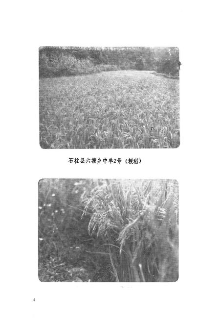 《涪陵地区农业局志》.pdf电子版_重庆市志插图5