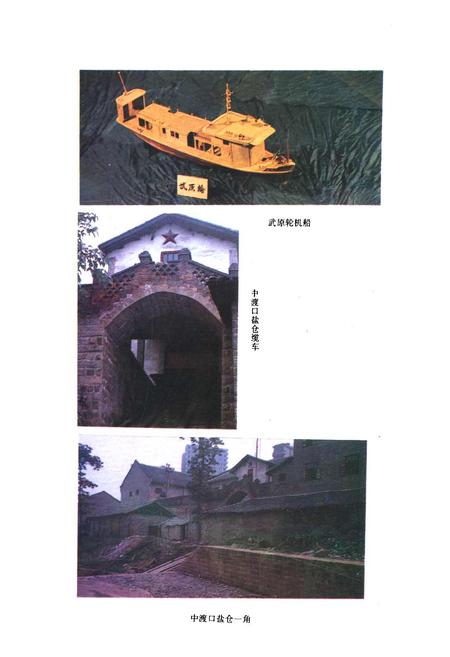 《涪陵地区盐业志》.pdf电子版_重庆市志插图4