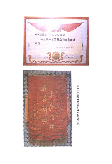 《涪陵地区盐业志》.pdf电子版_重庆市志插图5
