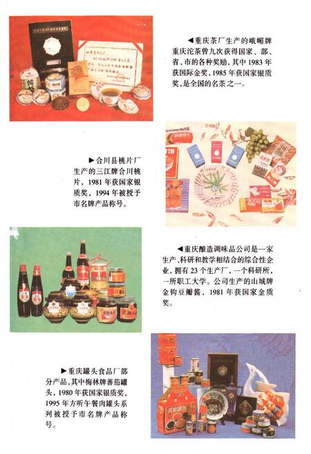 《重庆市食品工业志》.pdf电子版_重庆市志插图5