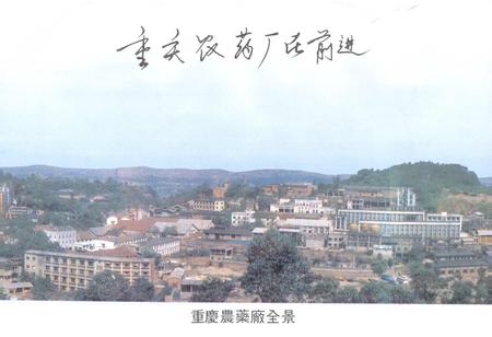 《重庆农药厂厂志》.pdf电子版_重庆市志插图2