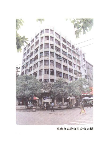 《重庆市农业生产资料商业志》.pdf电子版_重庆市志插图3