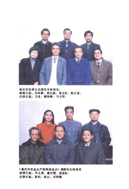 《重庆市农业生产资料商业志》.pdf电子版_重庆市志插图4