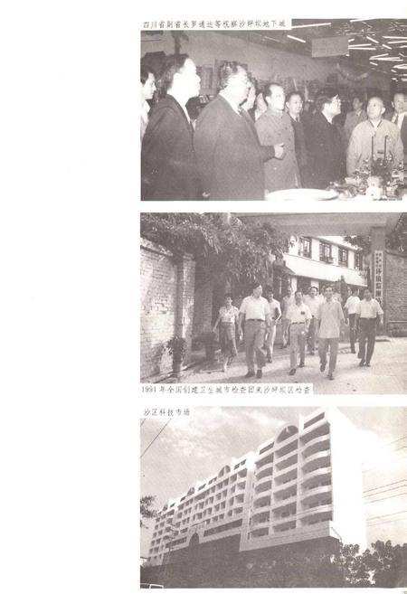 《重庆市沙坪坝区城乡建设志》.pdf电子版_重庆市志插图4