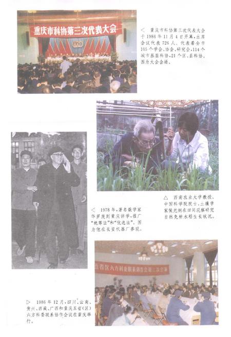 《重庆市科学技术志》.pdf电子版_重庆市志插图5