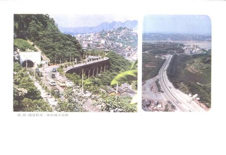 《重庆市市政环卫建设志》.pdf电子版_重庆市志插图5