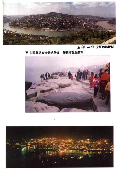 《涪陵市国土志》.pdf电子版_重庆市志插图4