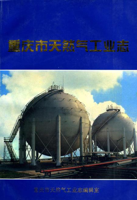 《重庆市天然气工业志》.pdf电子版_重庆市志插图