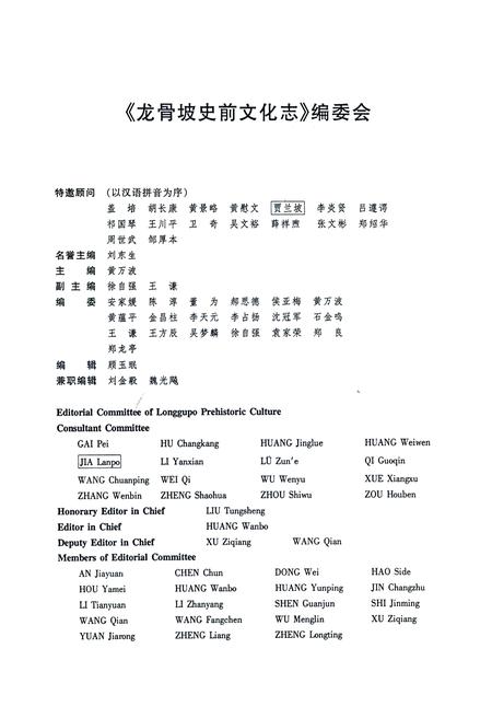《龙骨坡史前文化志》.pdf电子版_重庆市志插图2