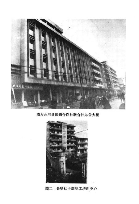 《合川县供销合作志(1937-1985)》.pdf电子版_重庆市志插图5