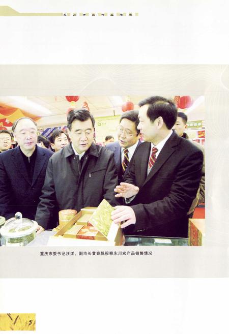 《永川市农村工作志》.pdf电子版_重庆市志插图5