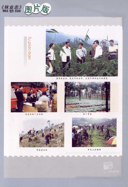 《永川市林业志(1986-2006)》.pdf电子版_重庆市志插图1