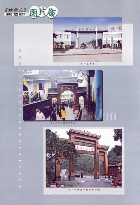 《永川市林业志(1986-2006)》.pdf电子版_重庆市志插图2