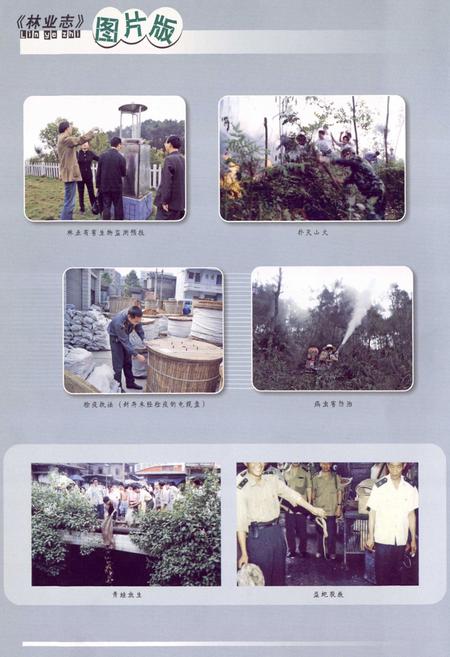 《永川市林业志(1986-2006)》.pdf电子版_重庆市志插图4