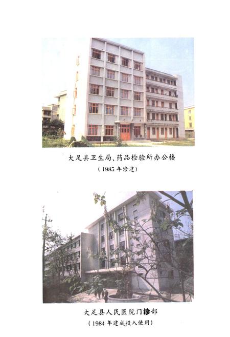 《大足县卫生志》.pdf电子版_重庆市志插图5
