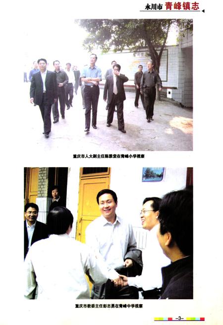 《永川市青峰镇志》.pdf电子版_重庆市志插图3