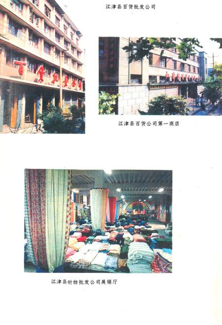 《江津县商业志》.pdf电子版_重庆市志插图4