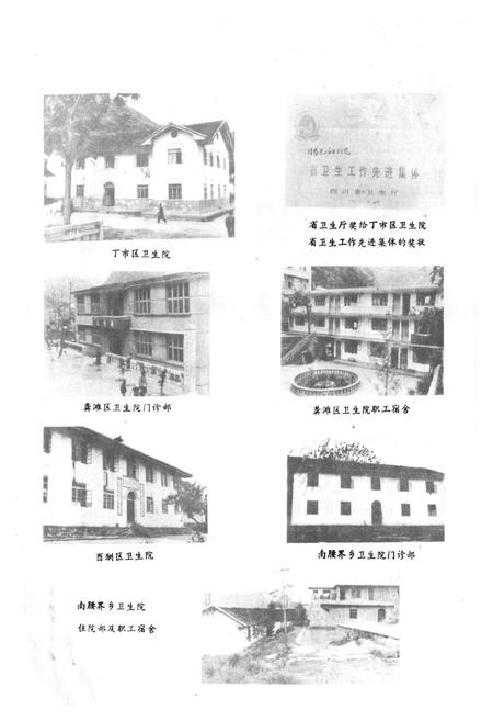 《酉阳土家放苗族自治县卫生志》.pdf电子版_重庆市志插图5