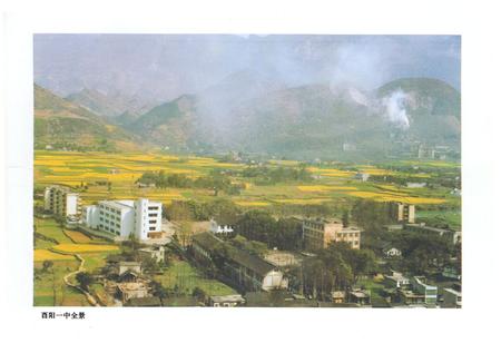 《酉阳第一中学校志(1925-1995)》.pdf电子版_重庆市志插图3