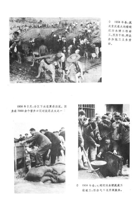 《重庆市市中区卫生志》.pdf电子版_重庆市志插图4
