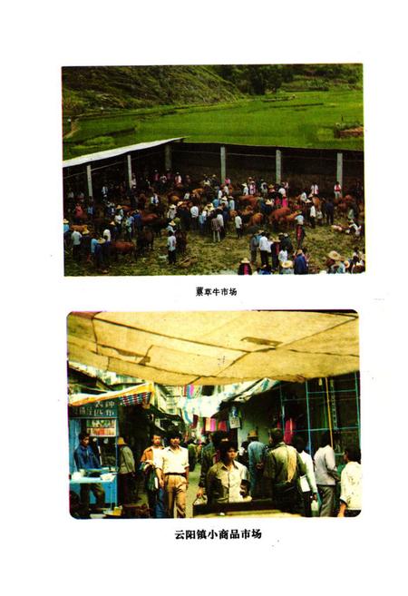 《云阳县工商行政管理志1912-1985》.pdf电子版_重庆市志插图4