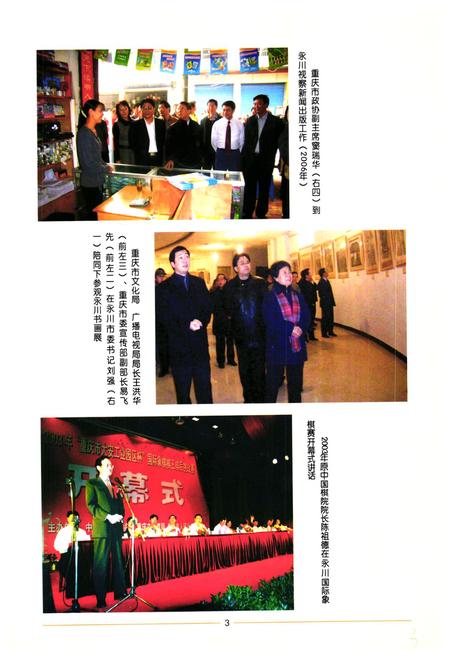 《永川市文化体育广播电视新闻出版志(1989~2006)》.pdf电子版_重庆市志插图3