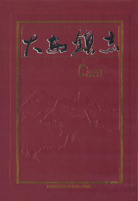 《大安镇志》.pdf电子版_重庆市志插图