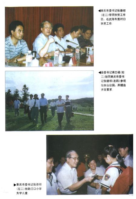 《武隆县志(1986-1995)》.pdf电子版_重庆市志插图4