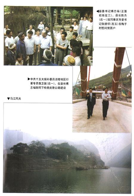 《武隆县志(1986-1995)》.pdf电子版_重庆市志插图5