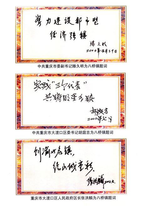 《重庆市大渡口区八桥镇志》.pdf电子版_重庆市志插图3