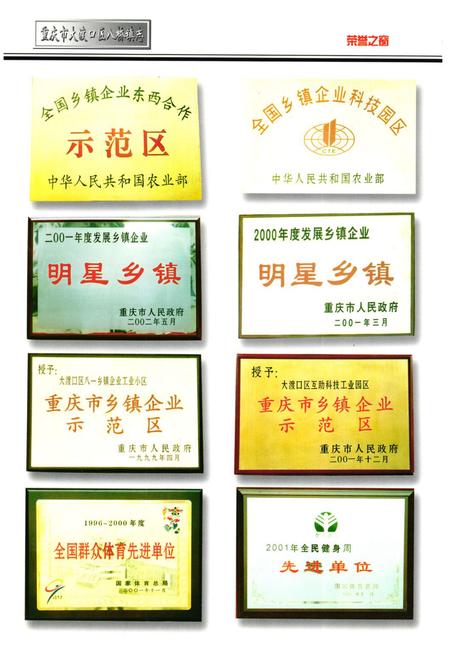 《重庆市大渡口区八桥镇志》.pdf电子版_重庆市志插图4