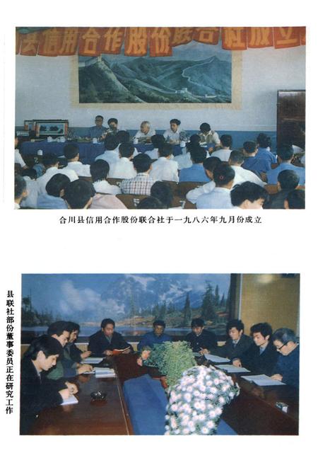 《合川县农村金融志》.pdf电子版_重庆市志插图4