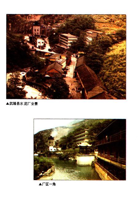 《四川省武隆县水泥厂志》.pdf电子版_重庆市志插图5