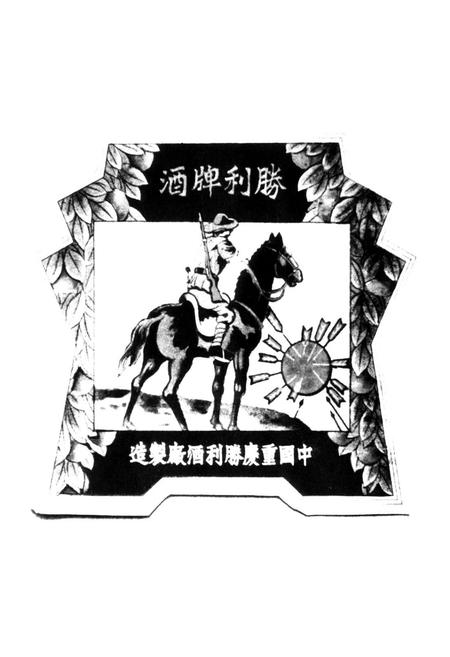 《老重庆影像志 六》.pdf电子版_重庆市志插图3