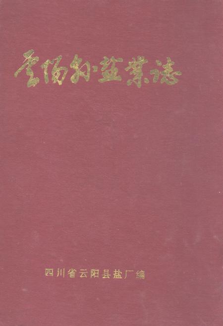 《云阳县盐业志(公元前206-1988)》.pdf电子版_重庆市志插图