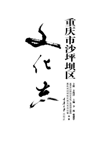 《重庆市沙坪坝区文化志》.pdf电子版_重庆市志插图1
