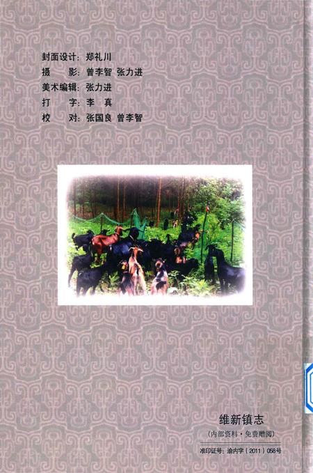 《维新镇志》.pdf电子版_重庆市志插图2