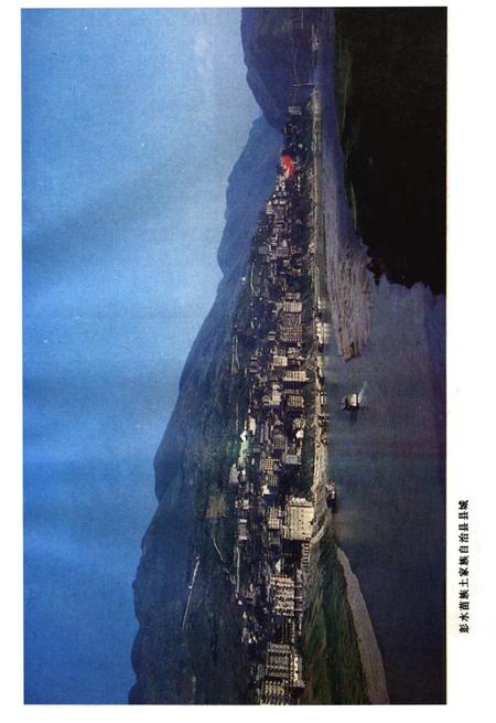 《彭水苗族土家族自治县概况》.pdf电子版_重庆市志插图2