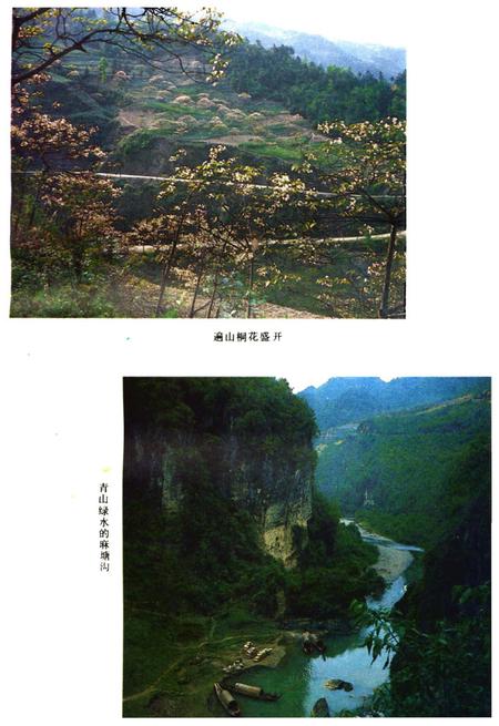 《彭水苗族土家族自治县概况》.pdf电子版_重庆市志插图4
