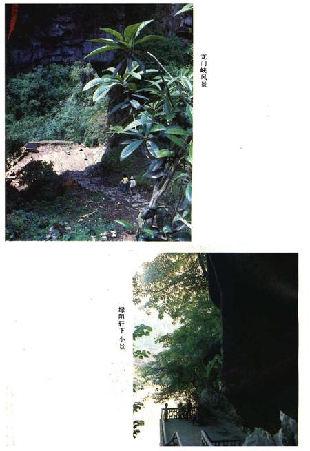 《彭水苗族土家族自治县概况》.pdf电子版_重庆市志插图5