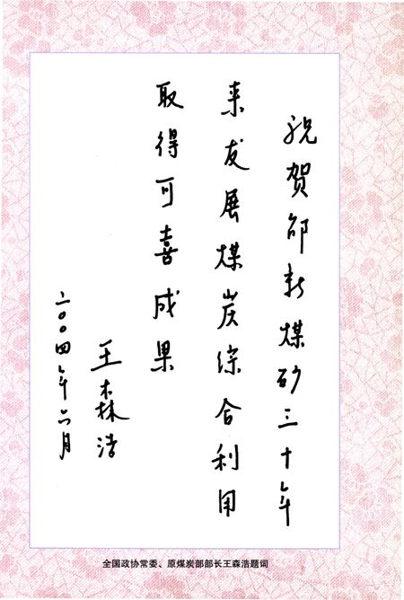 《梁平县国营邵新煤矿志(1994-2003)》.pdf电子版_重庆市志插图3